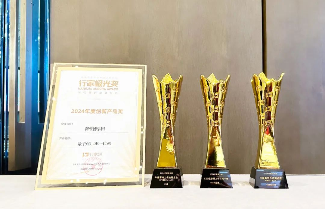 霸榜 | 四大榜单尽数囊括，EVO视讯官方网站集团连续五年斩获“极光”大奖